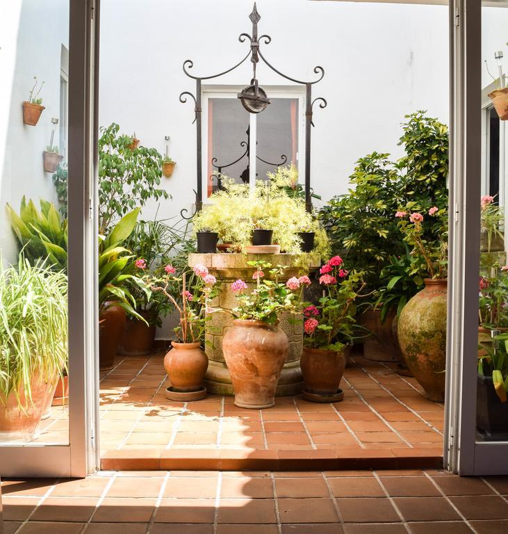 Appartement Alexia - Complex